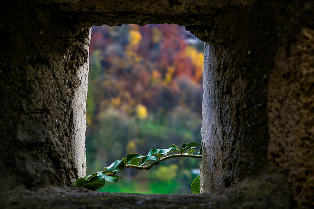 blick von altem zu neuem